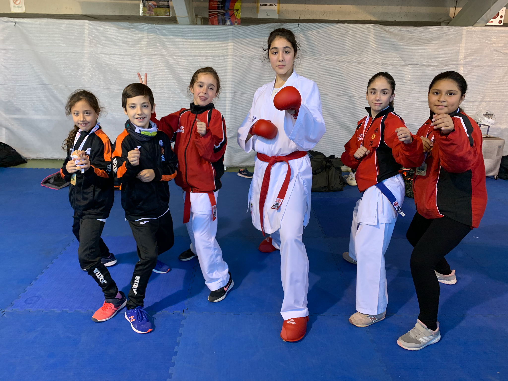 Attachment Abrir IMG_3959.png